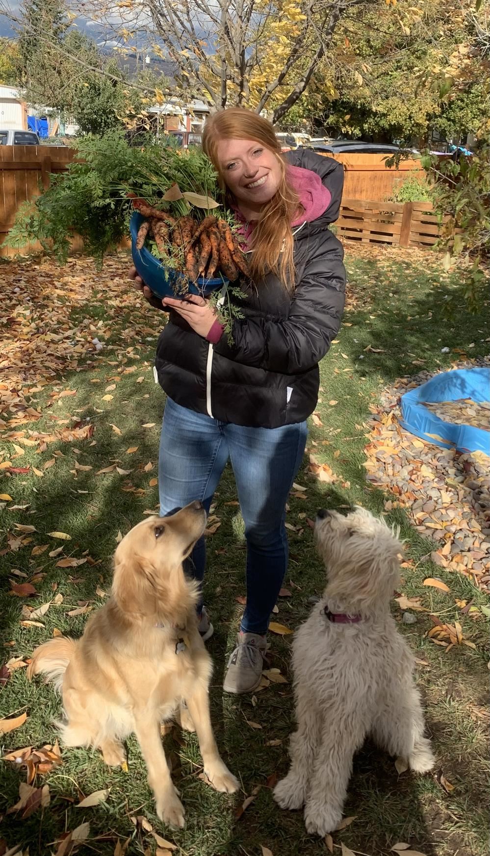 Vegetable Harvest